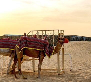 Wie lange fliegt man nach Ägypten