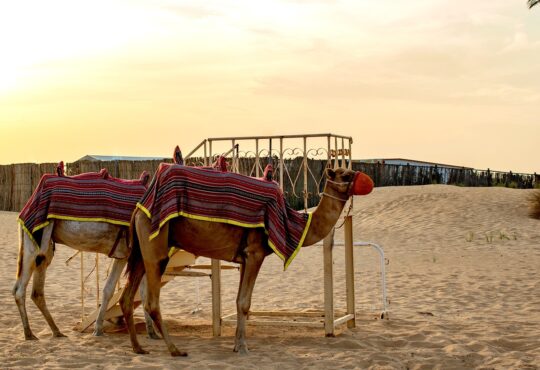 Wie lange fliegt man nach Ägypten