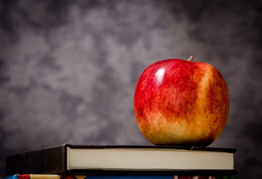 Wie viele Kalorien hat ein Apfel?