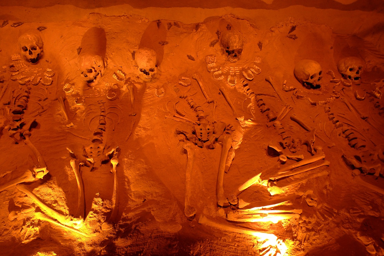 Die Bedeutung des Skeletts für den Körper