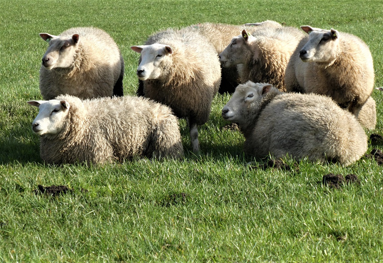 Ernährung und Gesundheit